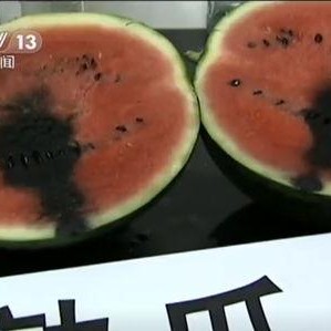 52吃瓜爆料免费吃瓜视频